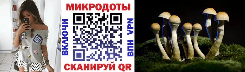 Галлюциногенные грибы Psilocybe  Керчь 