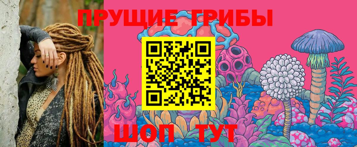 Галлюциногенные грибы Magic Shrooms Керчь